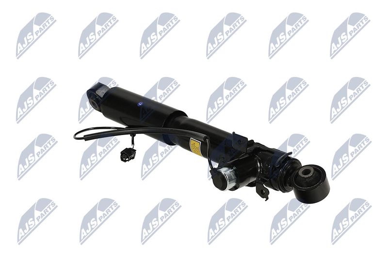Amort, NTY A-TY-095
