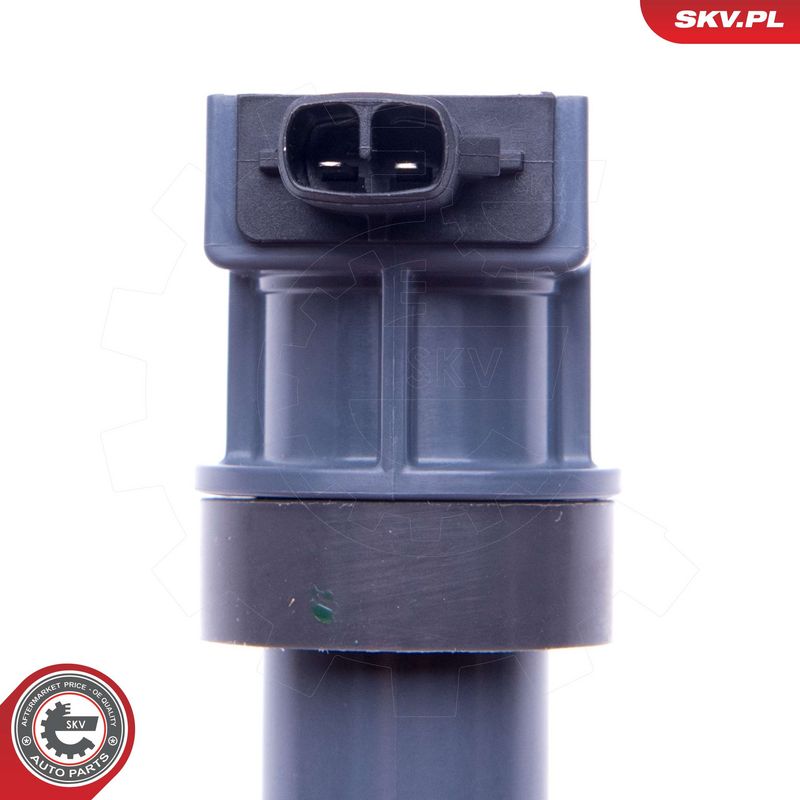 Süütepool, ESEN SKV 03SKV313