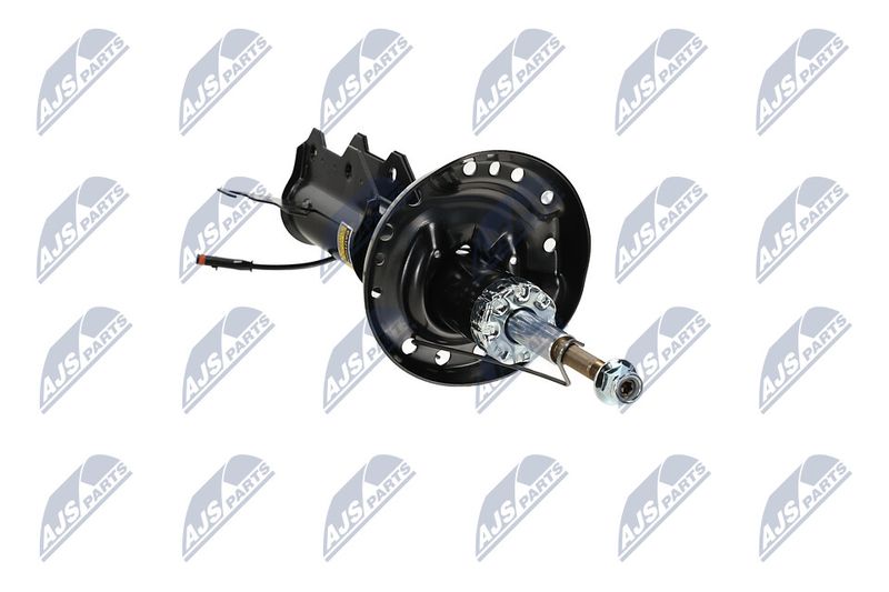 Amort, NTY A-PL-062