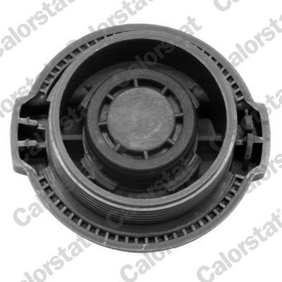 CALORSTAT by Vernet RC0002 Cap, coolant tank