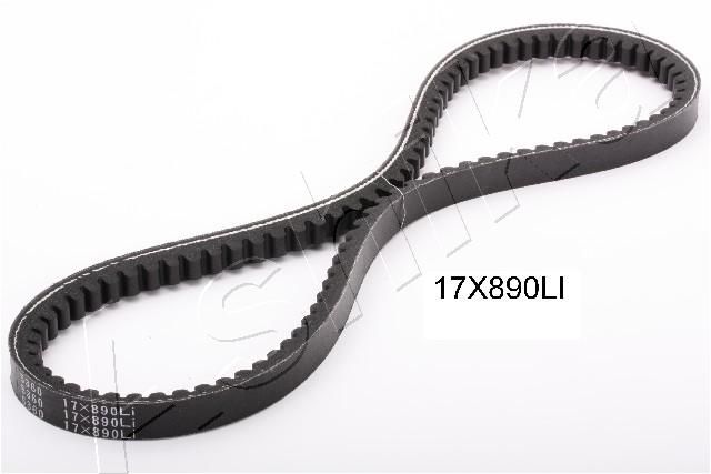 109-17X890_1.JPG