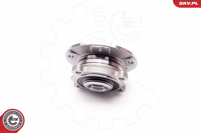 ESEN SKV 29SKV033 Wheel Bearing Kit