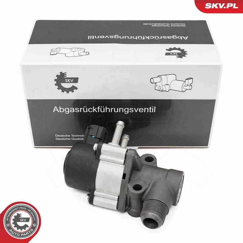 ESEN SKV 14SKV271 - EGR vožtuvas