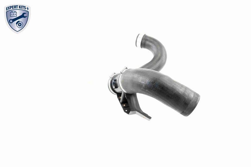 VAICO V30-2420 Charge Air Hose
