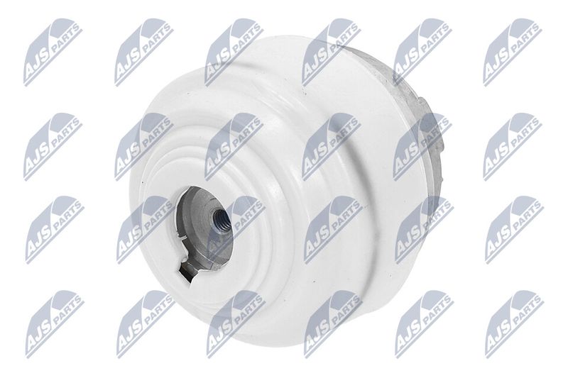 Paigutus, Mootor, NTY ZPS-ME-099