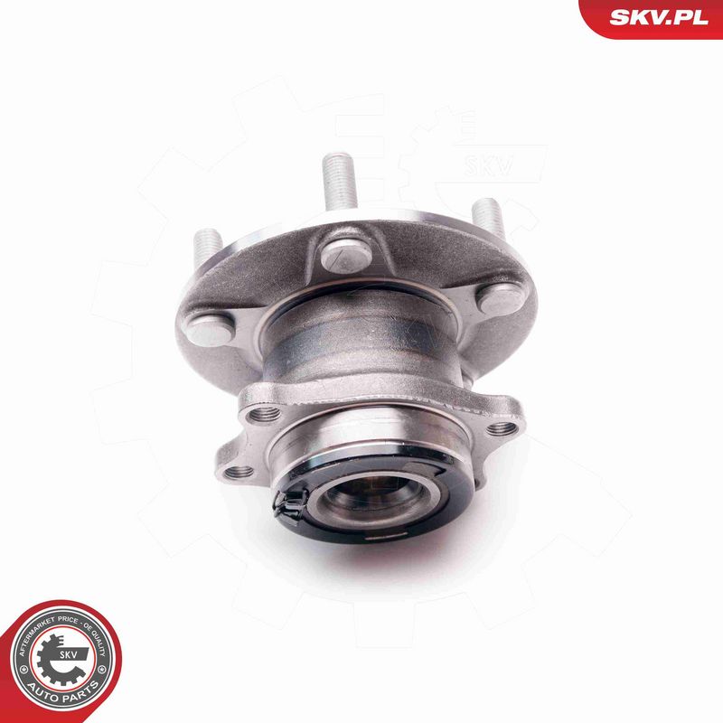 ESEN SKV 29SKV049 Wheel Bearing Kit