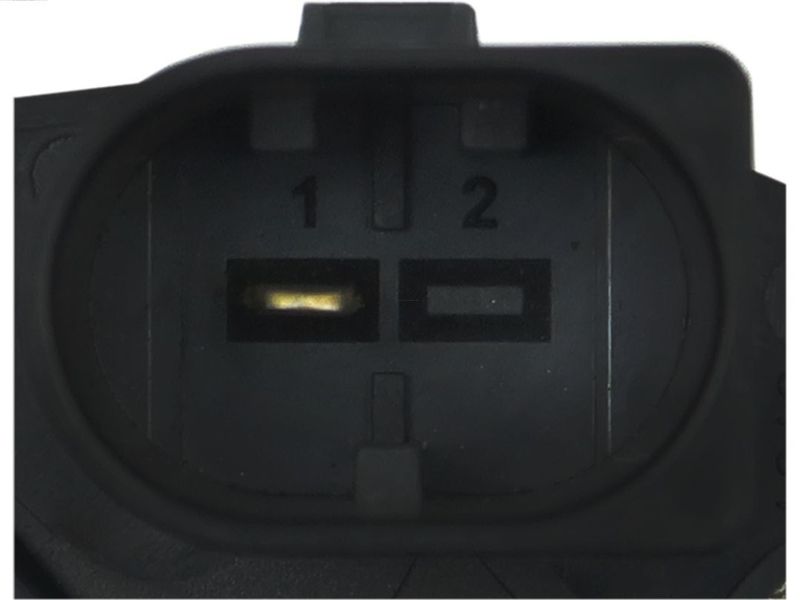 321942.JPG