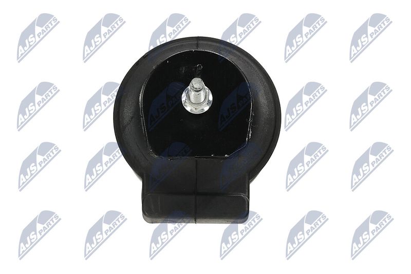 Paigutus, Mootor, NTY ZPS-NS-065