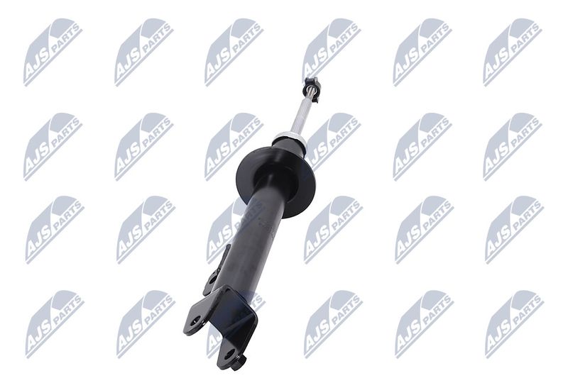 Amort, NTY A-CH-070