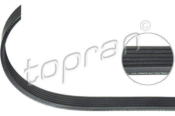 TOPRAN 304098 V-ribbed Belt