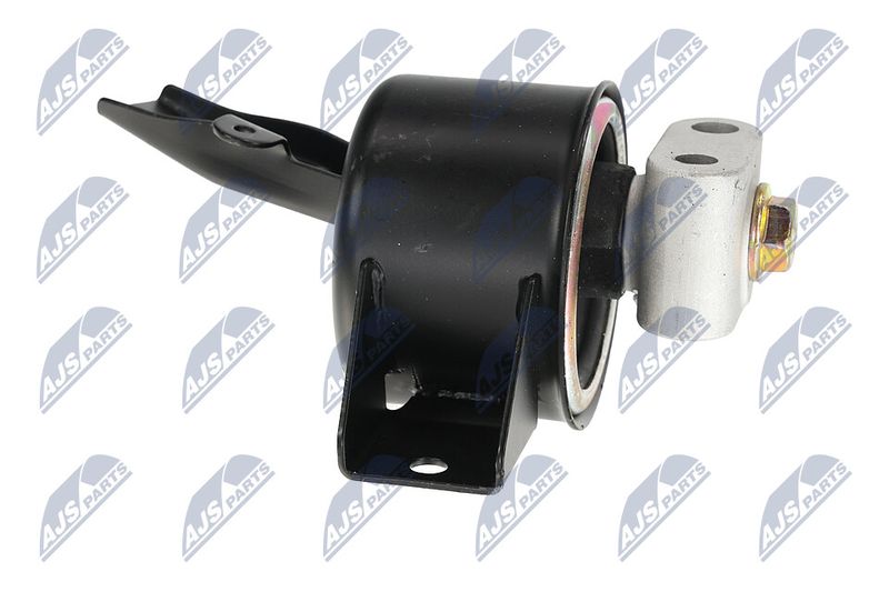 Paigutus, Mootor, NTY ZPS-DW-010