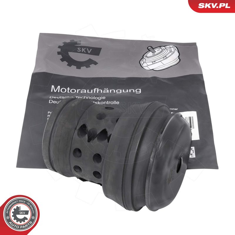 Paigutus, Mootor, ESEN SKV 75SKV239