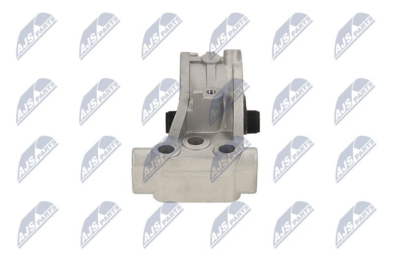 Paigutus, Mootor, NTY ZPS-MS-039