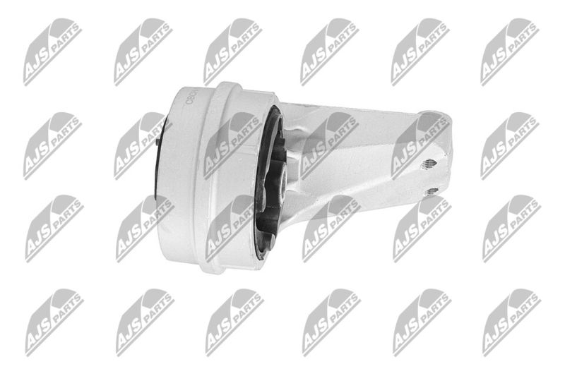 Paigutus, Mootor, NTY ZPS-CH-148