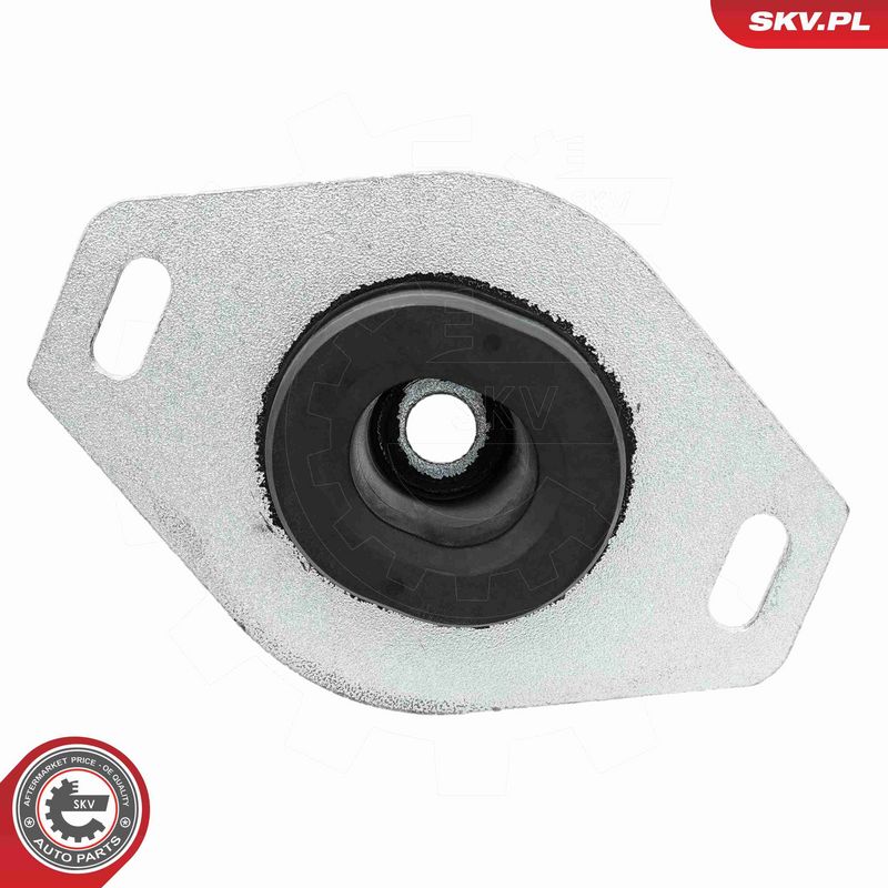 Paigutus, Mootor, ESEN SKV 75SKV221