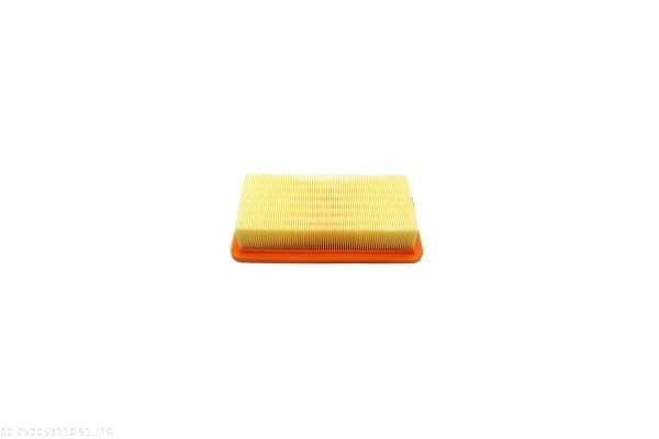 AUTOMEGA 250053110 Air Filter