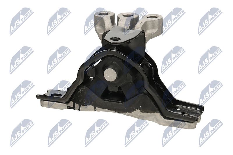 Paigutus, Mootor, NTY ZPS-PL-043