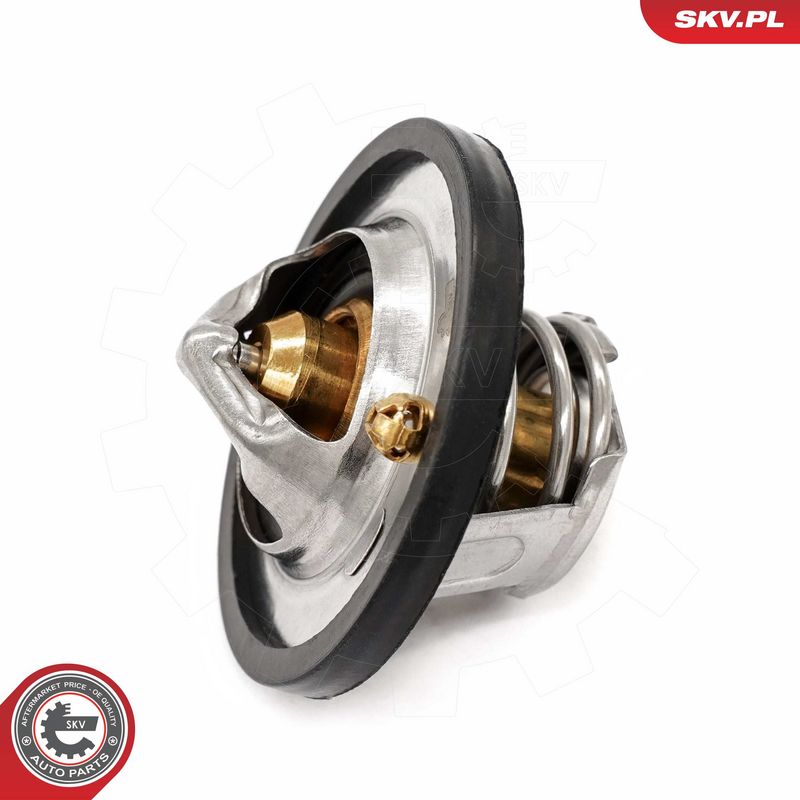 Termostaat, Jahutusvedelik, ESEN SKV 20SKV218