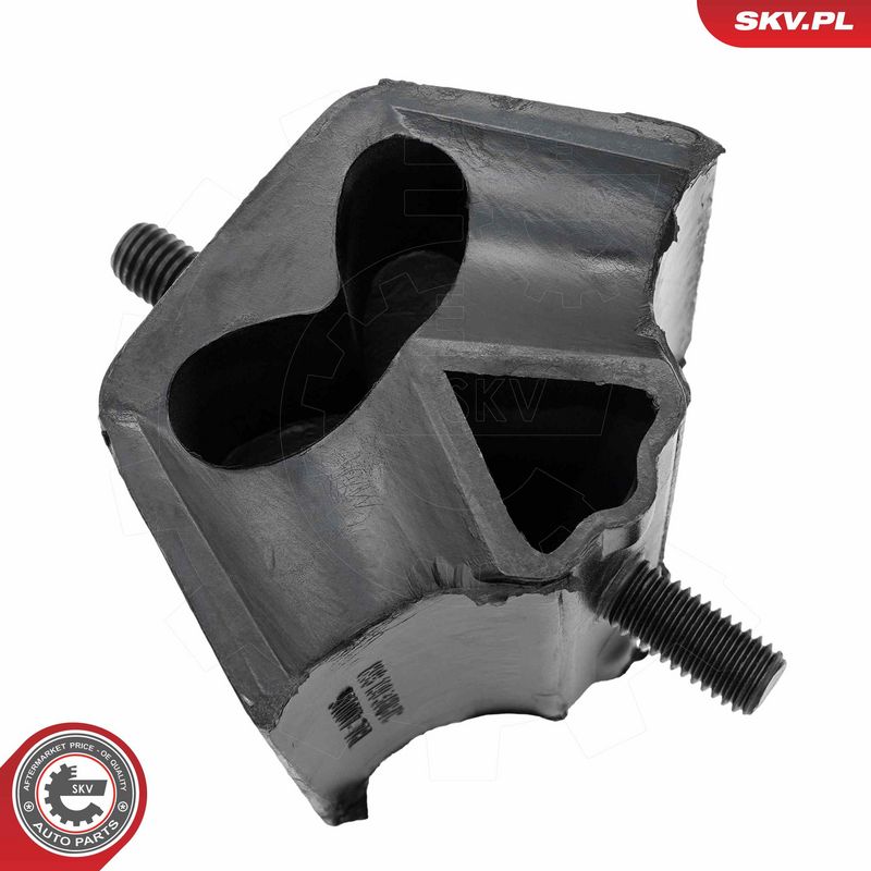 Paigutus, Mootor, ESEN SKV 75SKV113