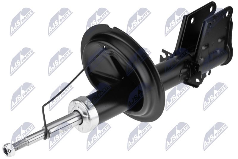 A-FT-021_1-WM.JPG