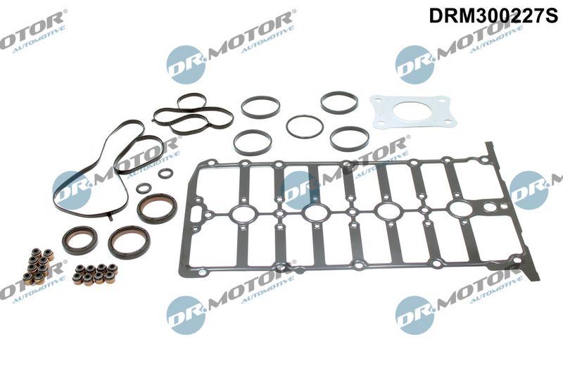 Dr.Motor Automotive Tarpiklių komplektas, cilindro galva