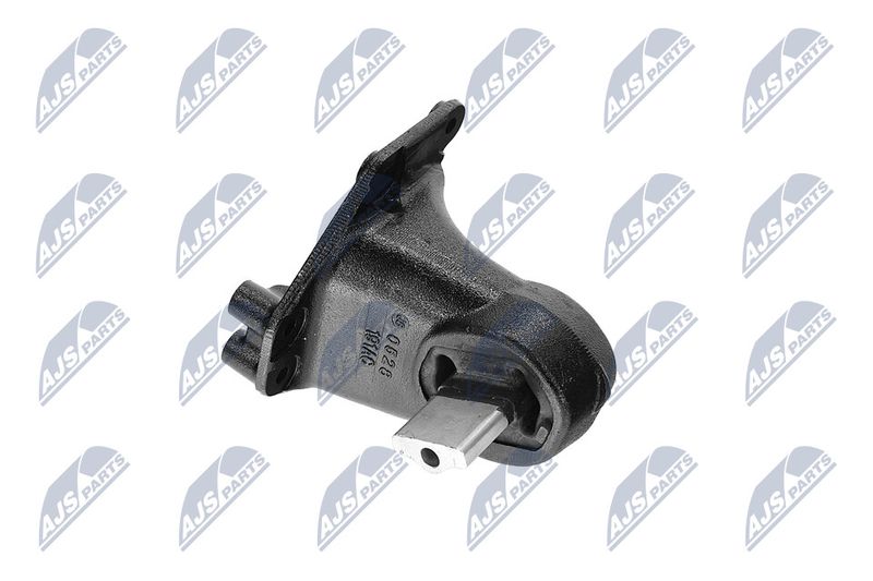 Paigutus, Mootor, NTY ZPS-CH-173