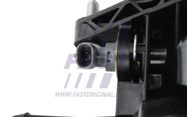 FT58048_5_1.JPG
