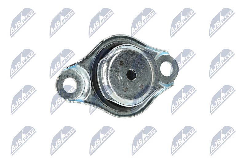 Paigutus, Mootor, NTY ZPS-FT-005