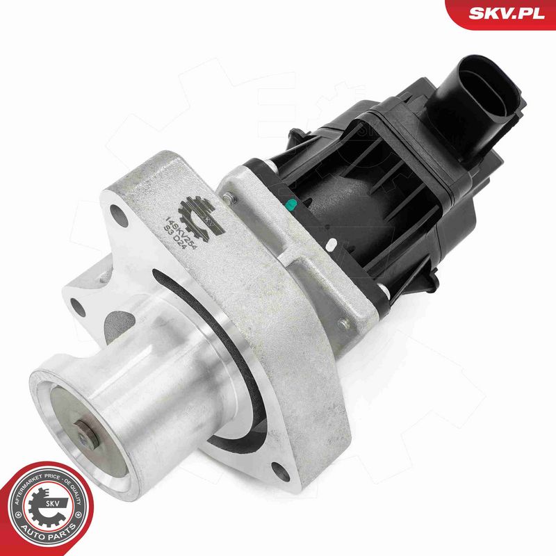 ESEN SKV 14SKV254 EGR Valve