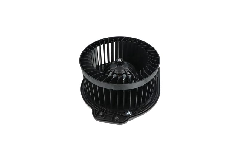 Salongipuhur, NRF 34136