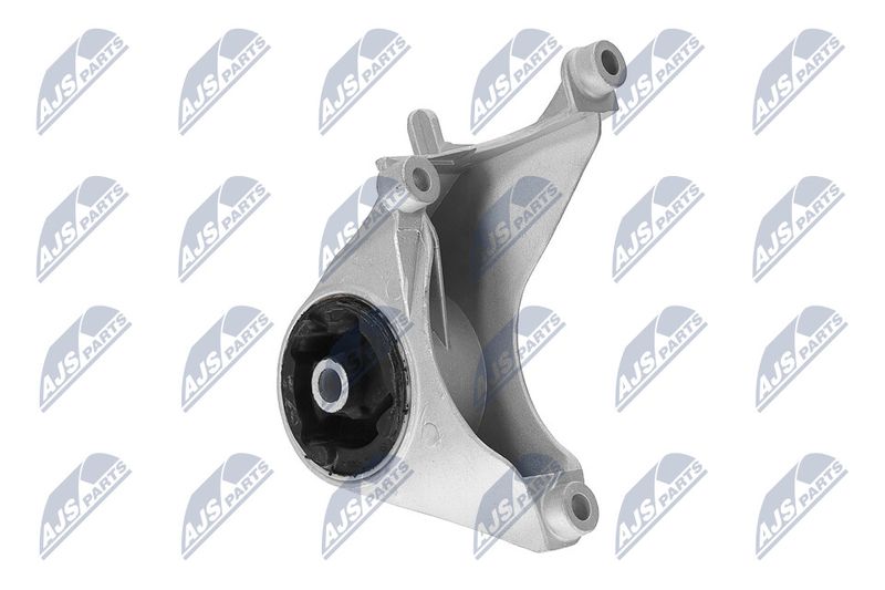 Paigutus, Mootor, NTY ZPS-CH-149