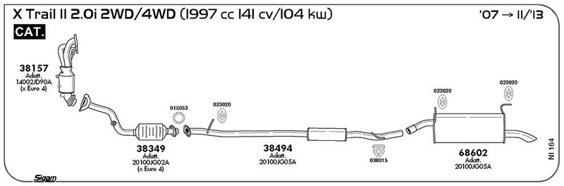 ni164_1.JPG