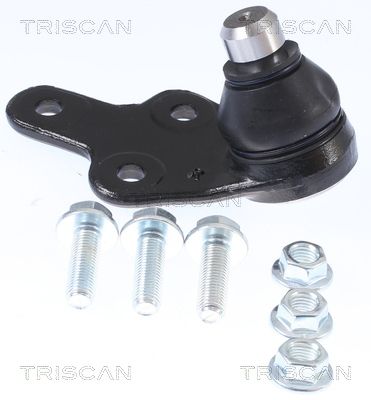 TRIS8500165041.JPG