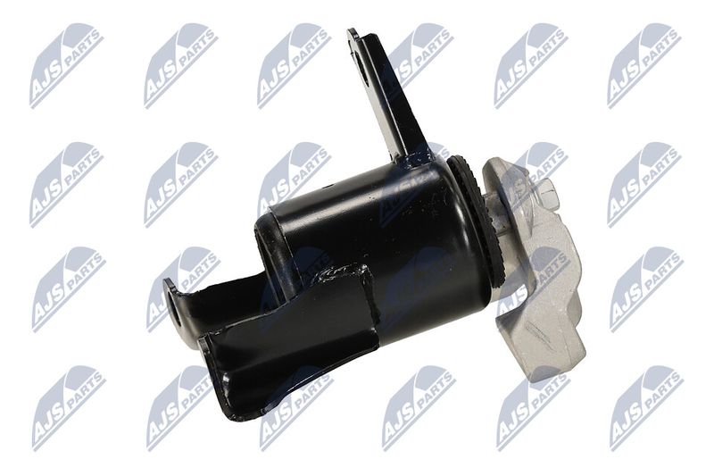 Paigutus, Mootor, NTY ZPS-FR-058