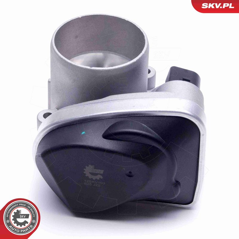 ESEN SKV 12SKV103 Throttle Body