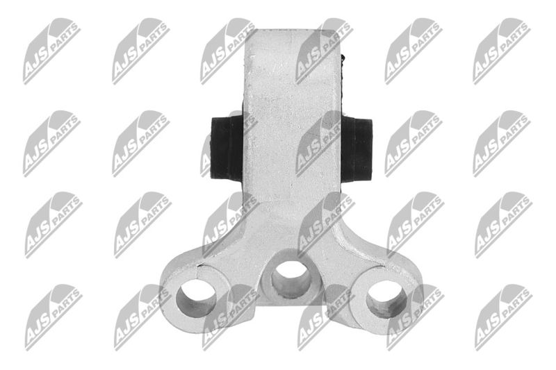 Paigutus, Mootor, NTY ZPS-NS-114