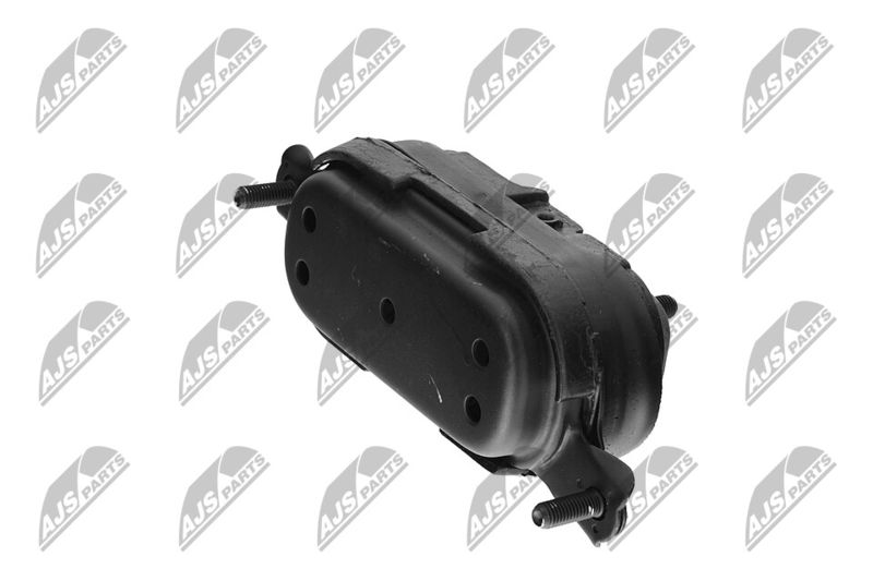 Paigutus, Mootor, NTY ZPS-CH-115