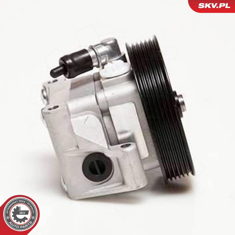 ESEN SKV 10SKV001 Hydraulic Pump, steering