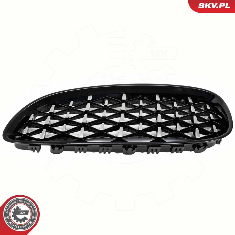 Radiaatorivõre, ESEN SKV 66SKV313