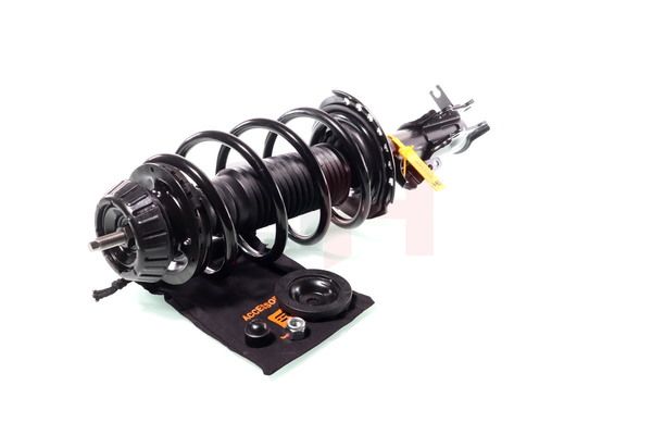 Vedruamort, GH GH-353422C01