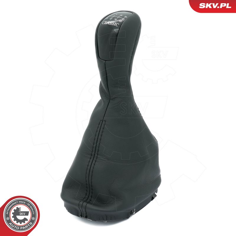 Käigukanginupp, ESEN SKV...