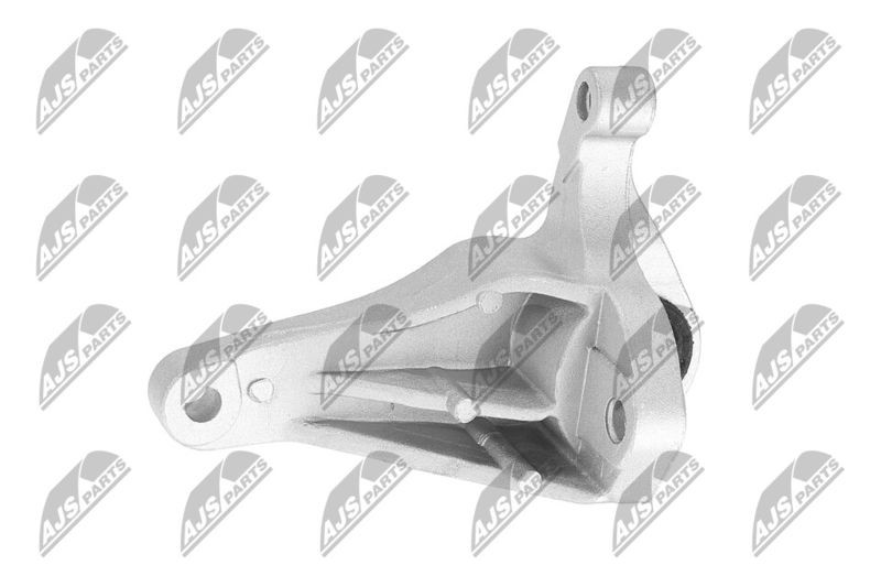 Paigutus, Mootor, NTY ZPS-FR-049