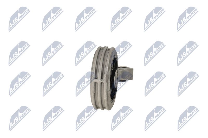 Paigutus, Mootor, NTY ZPS-FT-003