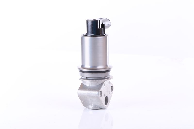 Izpl. gāzu recirkulācijas vārsts