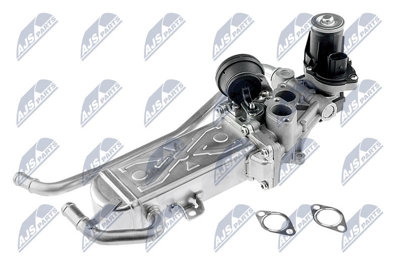 EGR-klapp, NTY EGR-WW-009