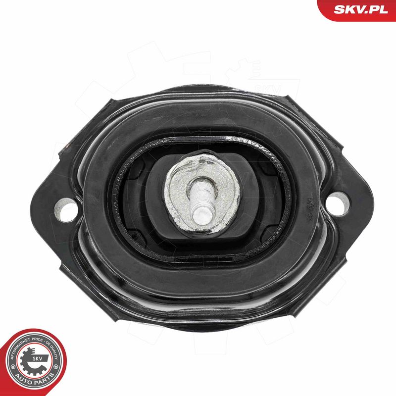 Paigutus, Mootor, ESEN SKV 75SKV056