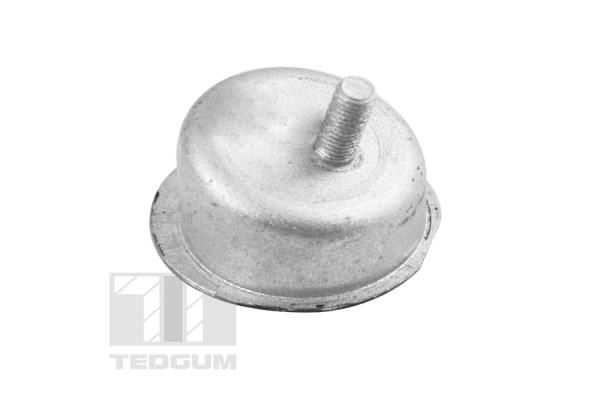 TED43629.JPG