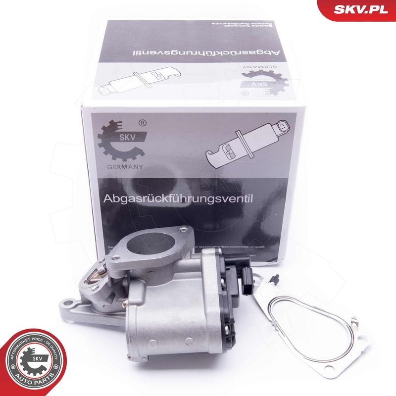 EGR-klapp, ESEN SKV 14SKV165
