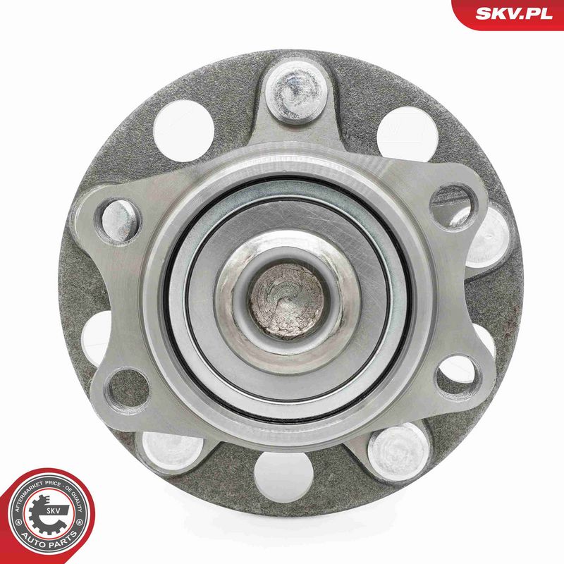 ESEN SKV 29SKV320 Wheel Bearing Kit