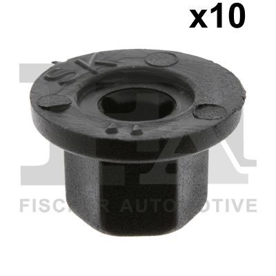FA1 anya 11-10027.10